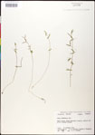 000030922-thumbnail.jpg