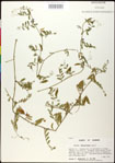 000030926-thumbnail.jpg