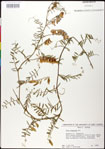 000030927-thumbnail.jpg