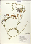 000030930-thumbnail.jpg