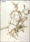 000030931-thumbnail.jpg