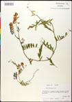 000030932-thumbnail.jpg
