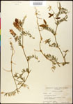 000030936-thumbnail.jpg