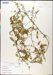 000030937-thumbnail.jpg