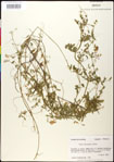 000030938-thumbnail.jpg