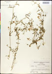 000030939-thumbnail.jpg