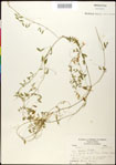 000030940-thumbnail.jpg