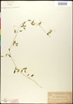 000030941-thumbnail.jpg