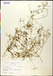 000030942-thumbnail.jpg