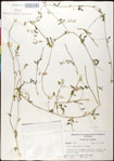 000030945-thumbnail.jpg
