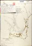 000030946-thumbnail.jpg