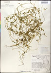 000030947-thumbnail.jpg
