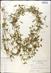 000030951-thumbnail.jpg