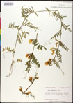 000030952-thumbnail.jpg