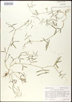 000030971-thumbnail.jpg
