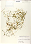 000030973-thumbnail.jpg