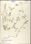 000030974-thumbnail.jpg