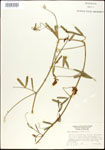 000030978-thumbnail.jpg