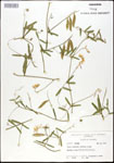 000030983-thumbnail.jpg