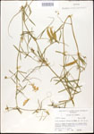 000030984-thumbnail.jpg