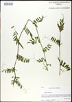 000030986-thumbnail.jpg