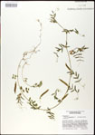 000030987-thumbnail.jpg