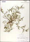 000030988-thumbnail.jpg