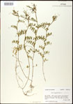 000030989-thumbnail.jpg