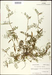 000030990-thumbnail.jpg