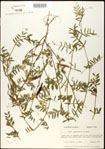 000030991-thumbnail.jpg