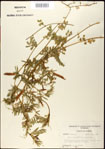 000030993-thumbnail.jpg