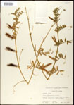 000030996-thumbnail.jpg