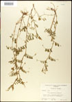 000030997-thumbnail.jpg