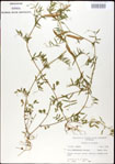 000030998-thumbnail.jpg