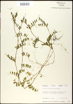 000030999-thumbnail.jpg