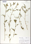 000031000-thumbnail.jpg