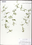000031001-thumbnail.jpg