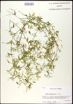 000031002-thumbnail.jpg