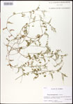 000031003-thumbnail.jpg
