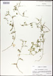000031005-thumbnail.jpg