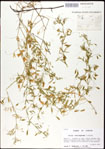 000031006-thumbnail.jpg