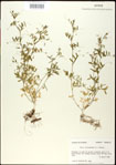 000031008-thumbnail.jpg