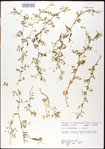 000031011-thumbnail.jpg