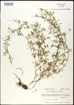 000031012-thumbnail.jpg