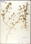 000031013-thumbnail.jpg