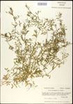 000031014-thumbnail.jpg