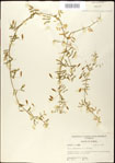 000031016-thumbnail.jpg