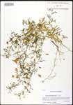 000031019-thumbnail.jpg