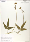 000031024-thumbnail.jpg
