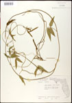 000031032-thumbnail.jpg